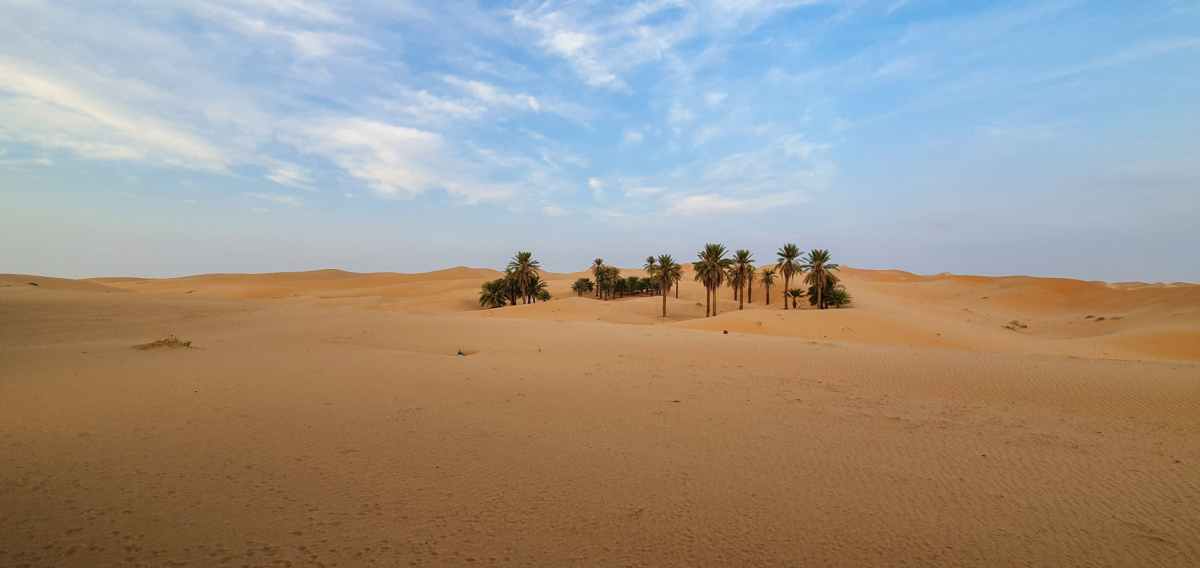 Freedom In Christ Igniter Ministries